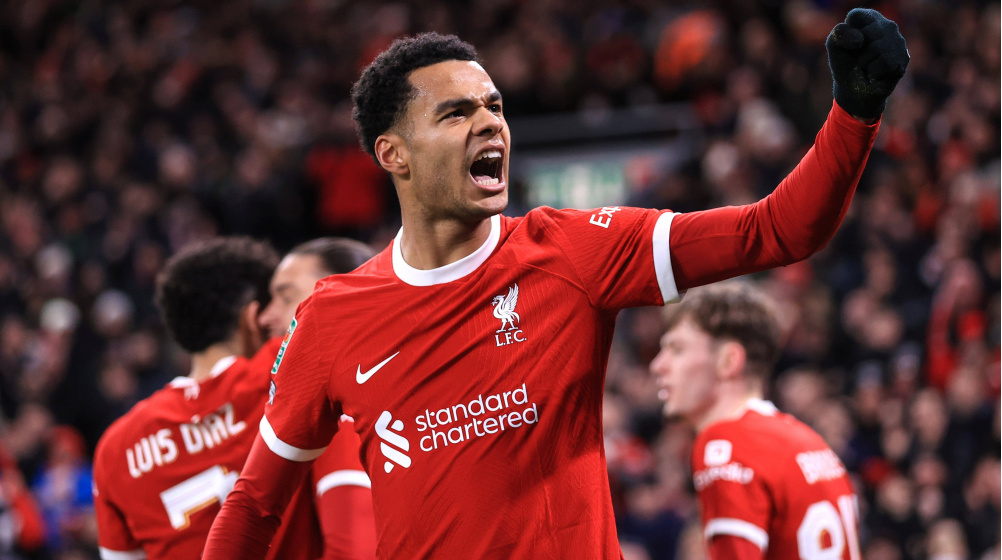 Tiểu sử, phong cách và vai trò của Cody Gakpo trong đội tuyển Hà Lan